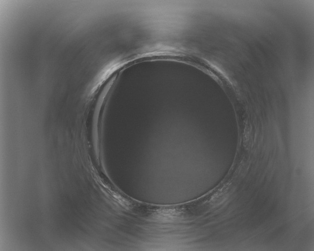 X0000056311455200509231908