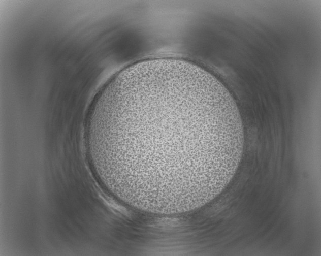 X0000056311470200509231907