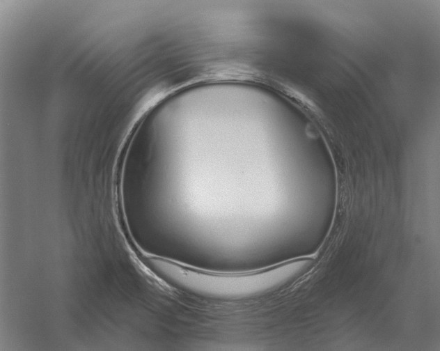 X0000056311471200509231907