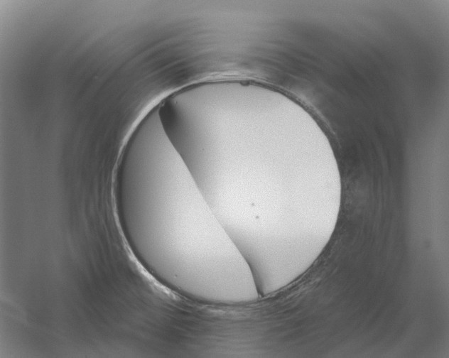 X0000056311476200509231907