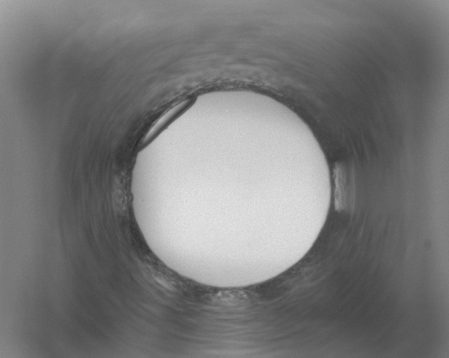 X0000056311491200509231906