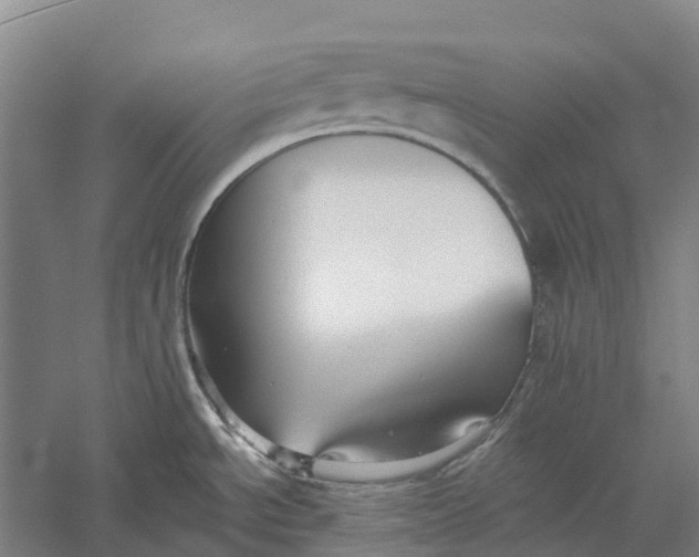 X0000056311534200509231907