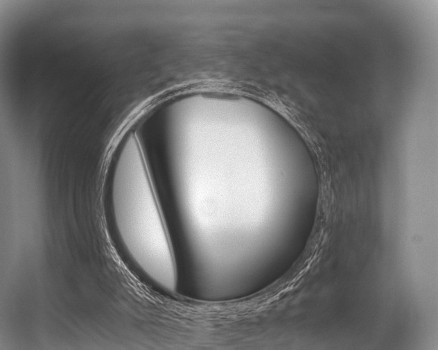 X0000056320007200508260903