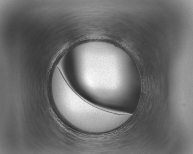 X0000056320015200508260903