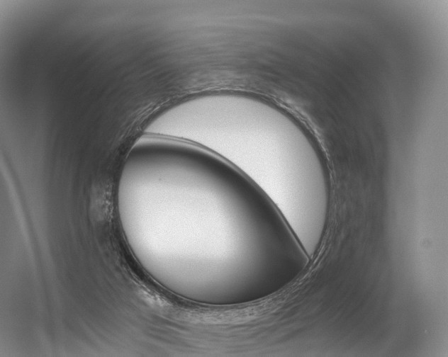 X0000056320017200508260903