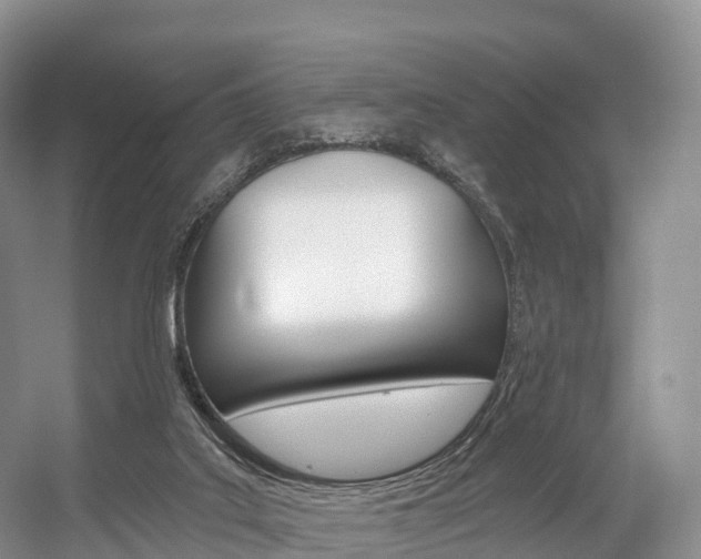X0000056320019200508260903