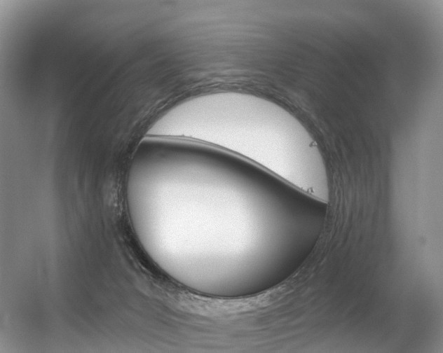 X0000056320031200508260902