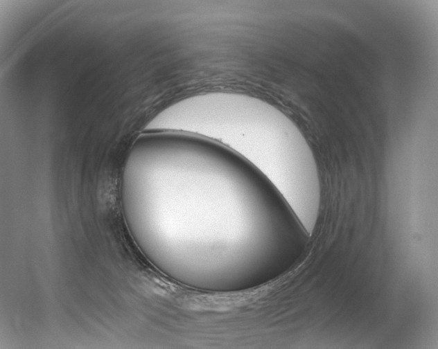 X0000056320033200508260902
