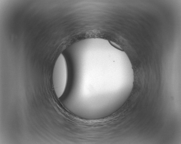 X0000056320038200508260902