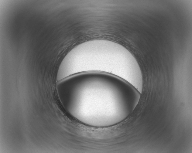 X0000056320039200508260902