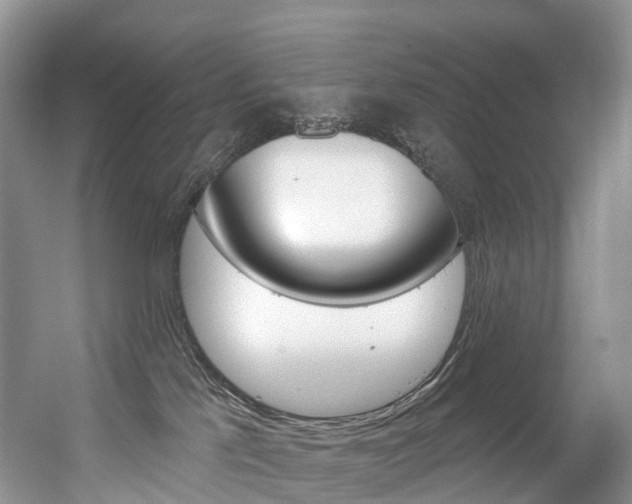 X0000056320041200508260902