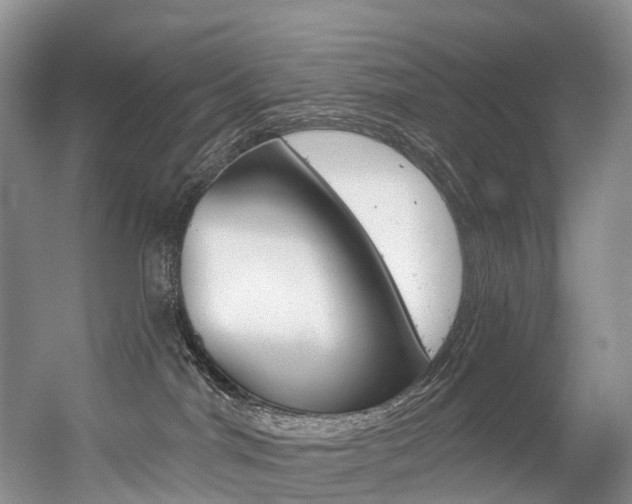 X0000056320044200508260902
