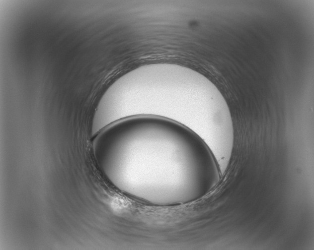 X0000056320045200508260902