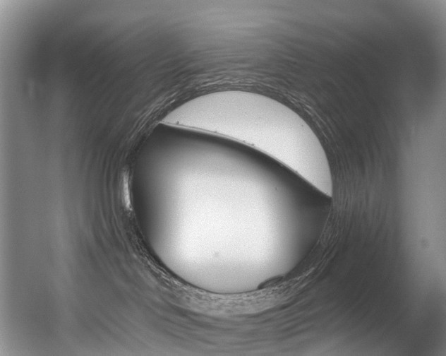 X0000056320046200508260902