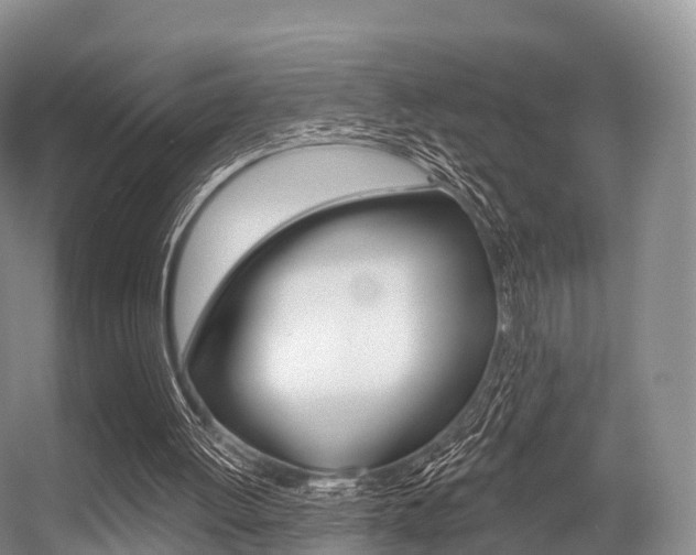 X0000056320052200508260901