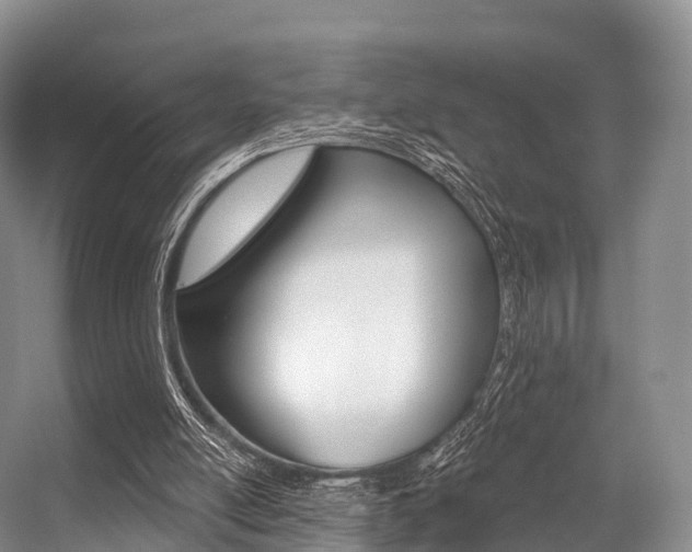 X0000056320054200508260901