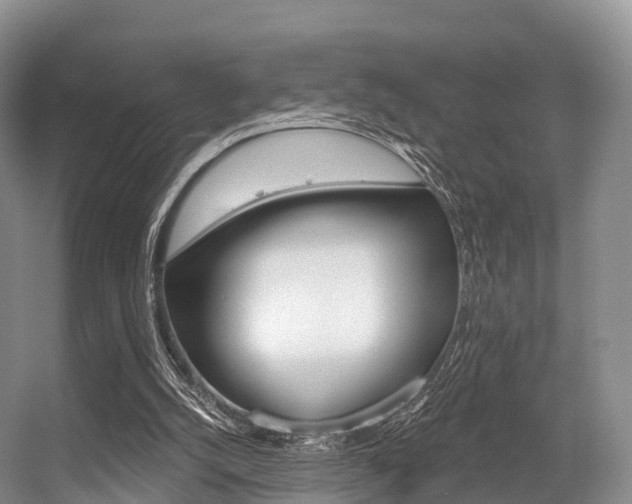 X0000056320056200508260901