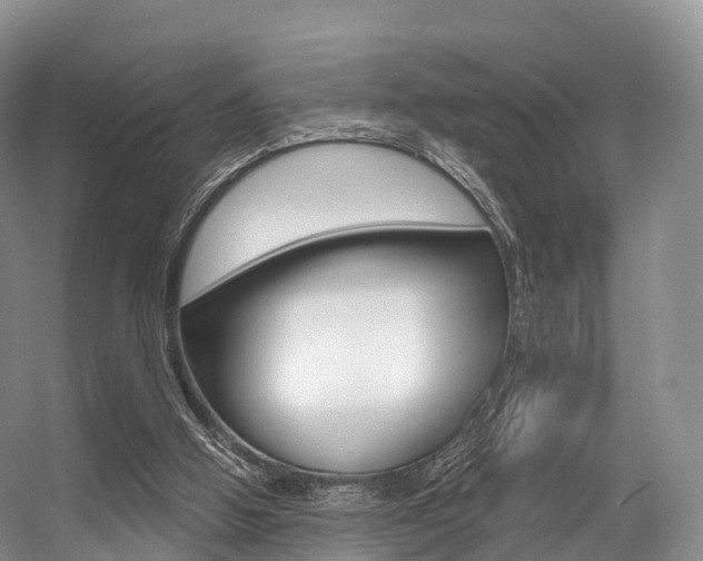 X0000056320058200508260902