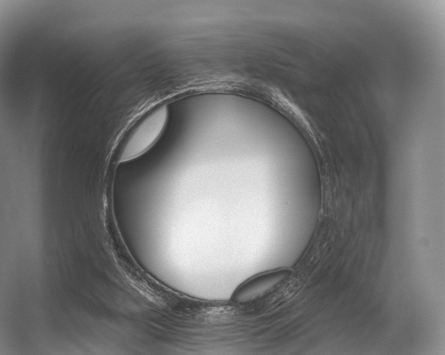 X0000056320059200508260902