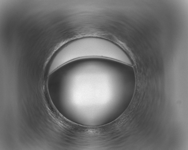 X0000056320060200508260902