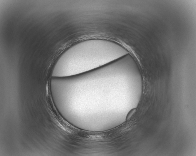 X0000056320061200508260902