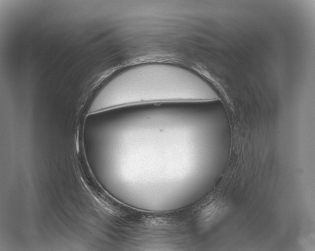 X0000056320062200508260902