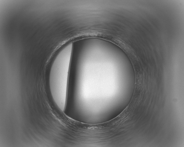 X0000056320064200508260902