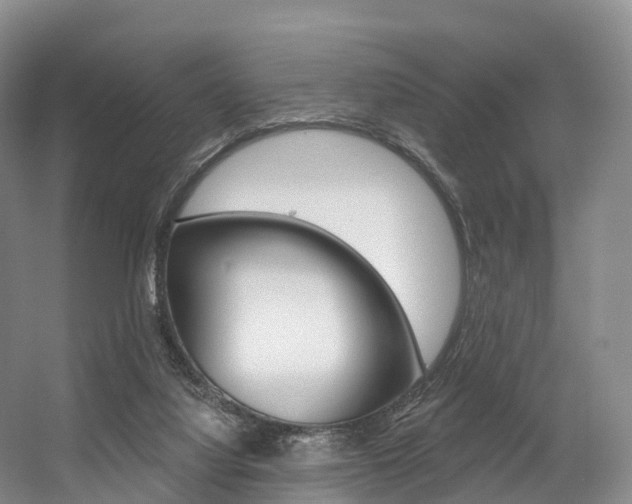 X0000056320068200508260902