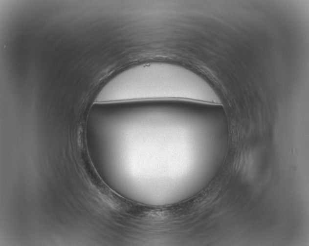 X0000056320071200508260902