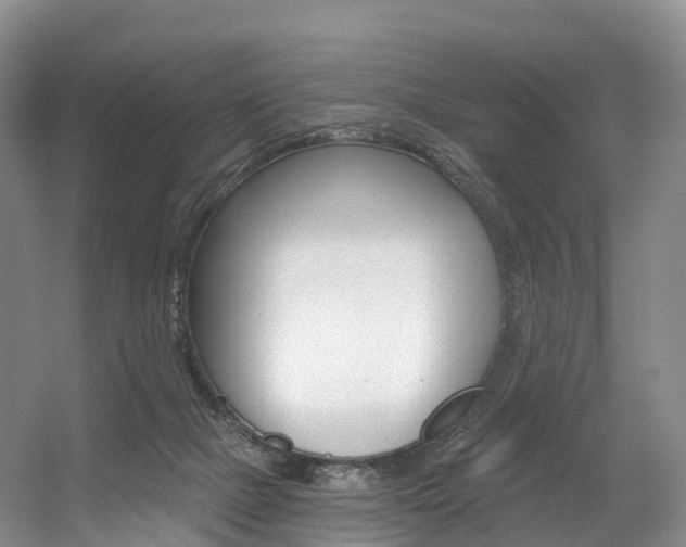 X0000056320073200508260902