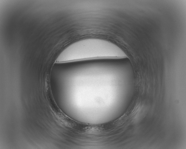 X0000056320074200508260902