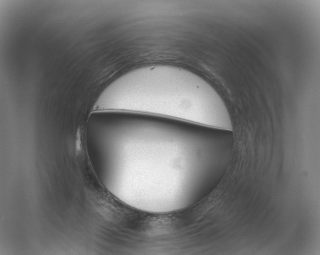 X0000056320075200508260902