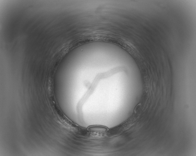 X0000056320077200508260902