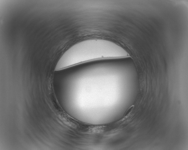 X0000056320078200508260902