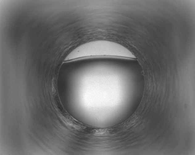 X0000056320088200508260902