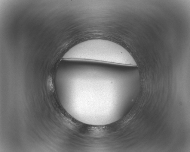 X0000056320089200508260902