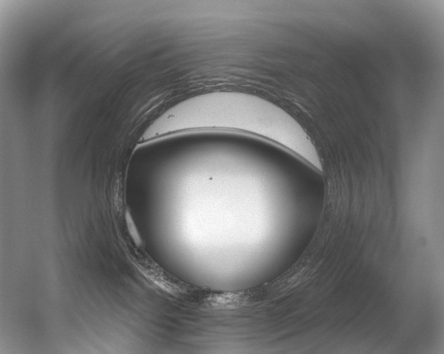 X0000056320092200508260902