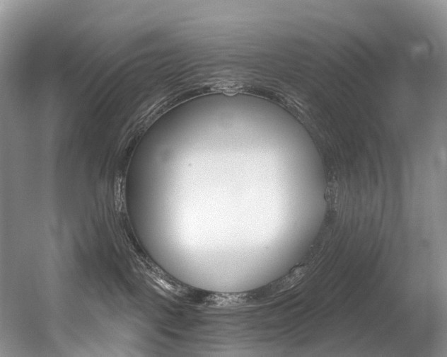 X0000056320093200508260902