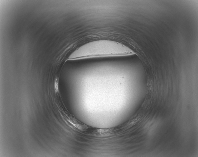 X0000056320095200508260902