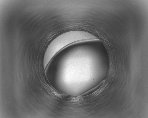 X0000056320096200508260902