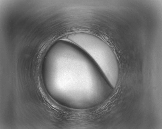 X0000056320097200508260901