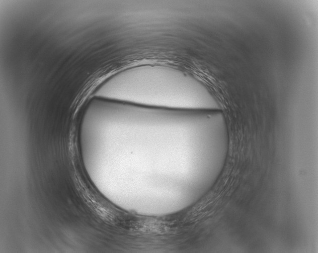 X0000056320098200508260901