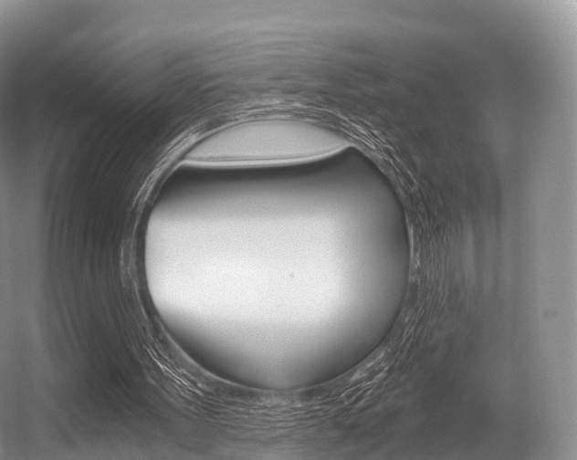 X0000056320099200508260901