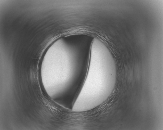 X0000056320100200508260901