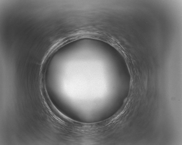 X0000056320101200508260901