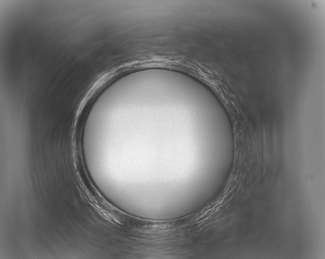 X0000056320102200508260901