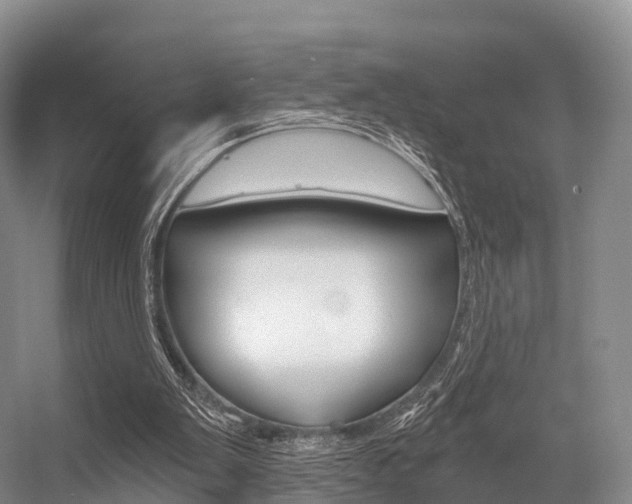X0000056320103200508260901
