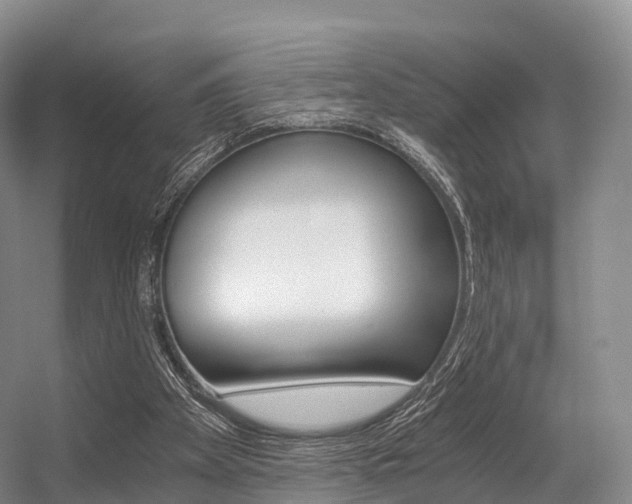 X0000056320105200508260901