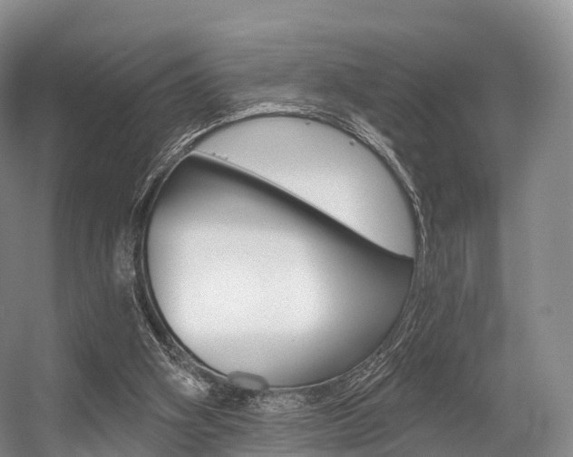 X0000056320106200508260901