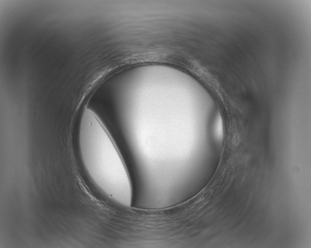 X0000056320107200508260901